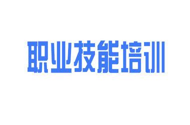 國(guó)務(wù)院常務(wù)會(huì)議確定推行終身職業(yè)技能培訓(xùn)制度的政策措施等